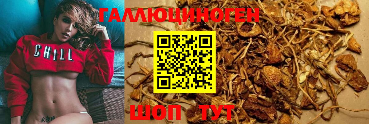 Галлюциногенные грибы Magic Shrooms  Псилоцибиновые грибы Magic Shrooms  Калач-на-Дону  Вход с VPN 