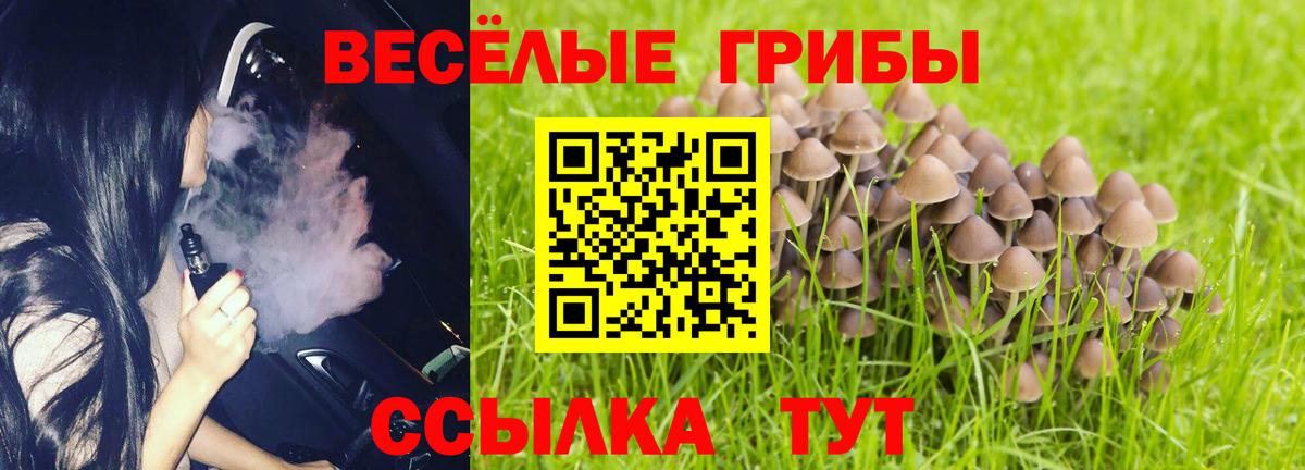 Псилоцибиновые грибы GOLDEN TEACHER Калач-на-Дону
