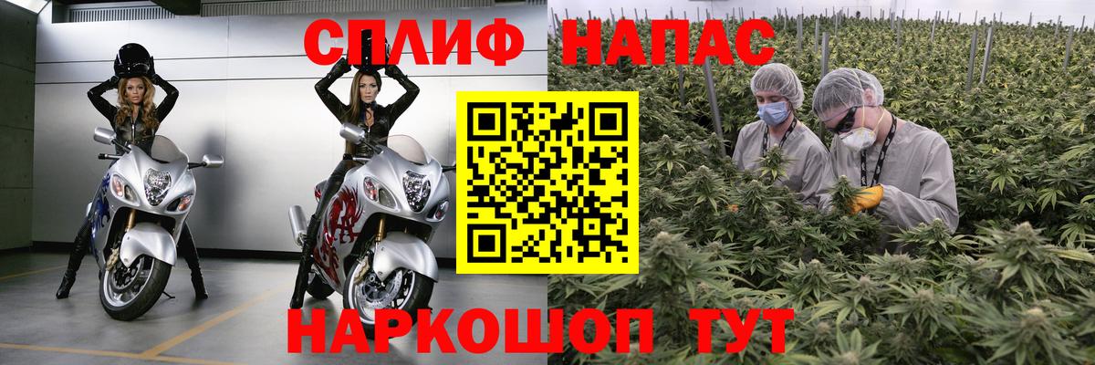 Марихуана семена  Вход с VPN  МАРИХУАНА семена  Бошки марихуана семена  Калач-на-Дону 